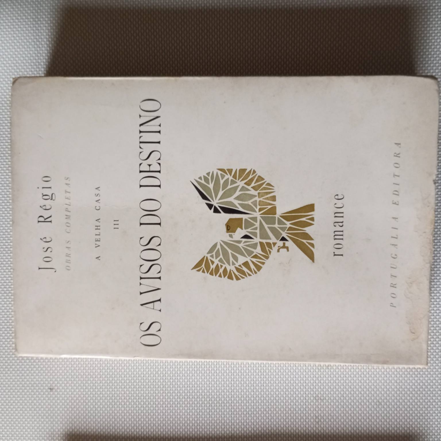 Os avisos do destino- A velha casa III
