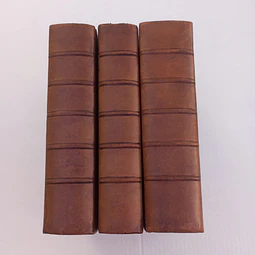 Cartas do Padre António Vieira