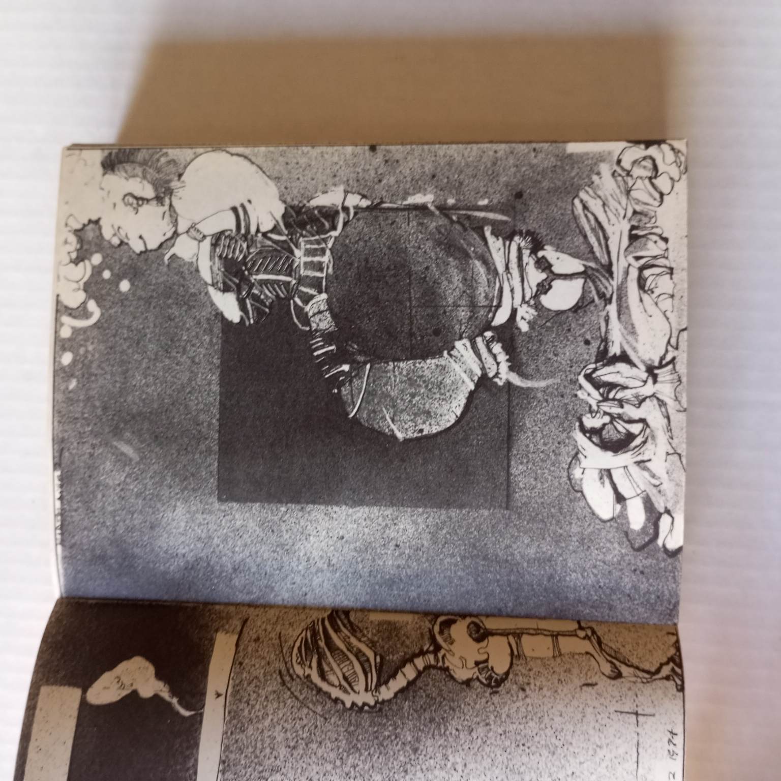 A filosofia na alcova