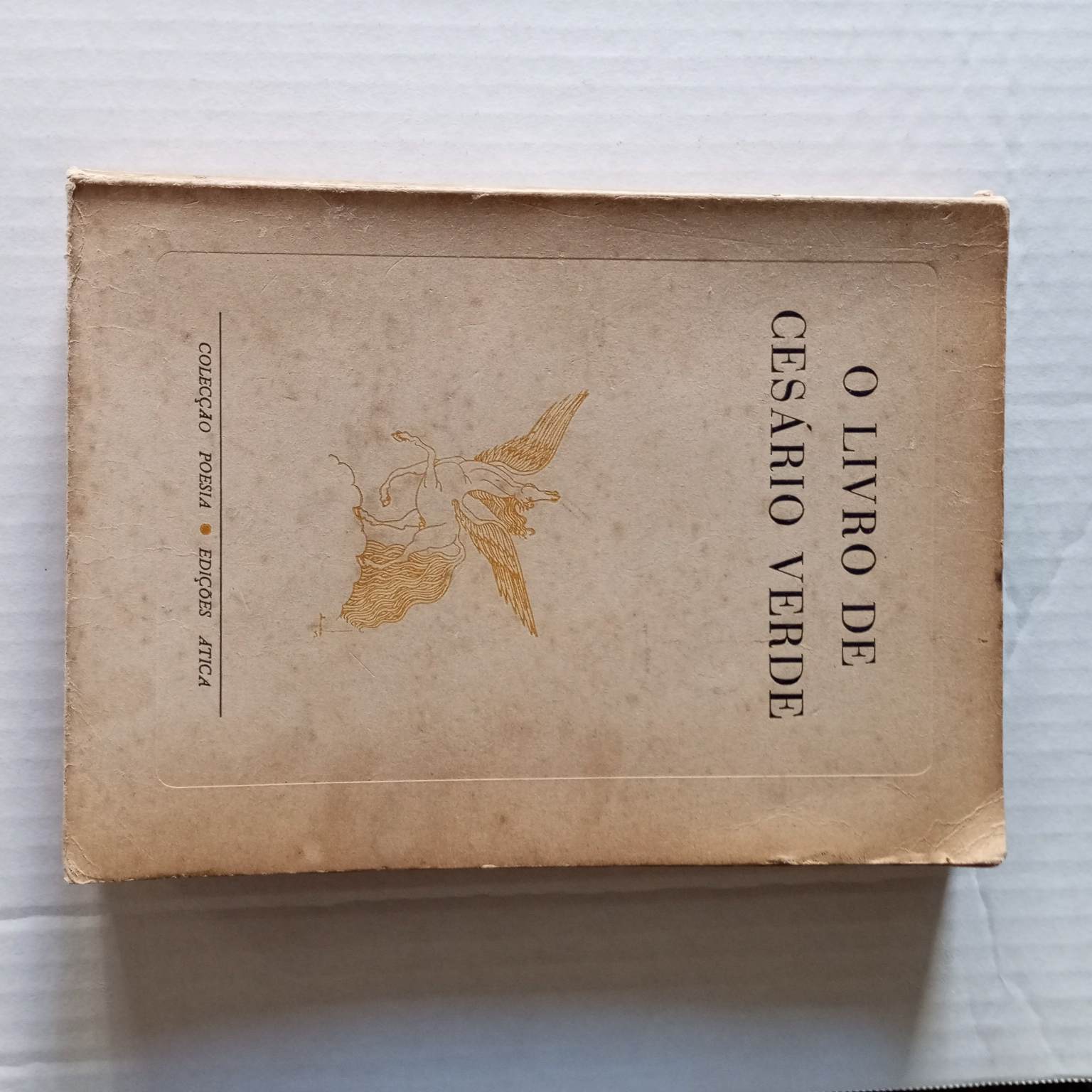 O livro de Cesário Verde (Colecção poesia Ática)