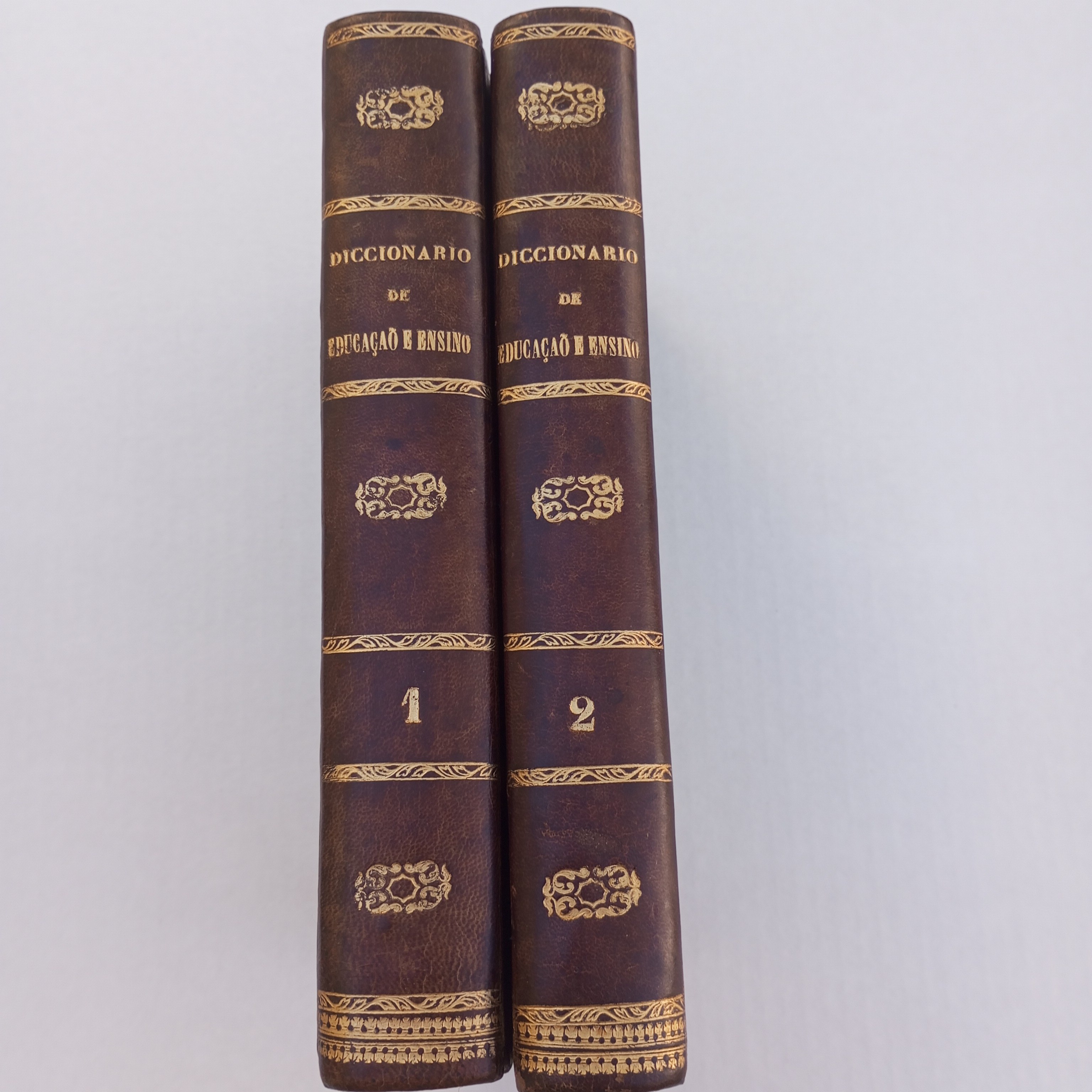 Dicionário Universal de Educação e Ensino (2 Volumes)