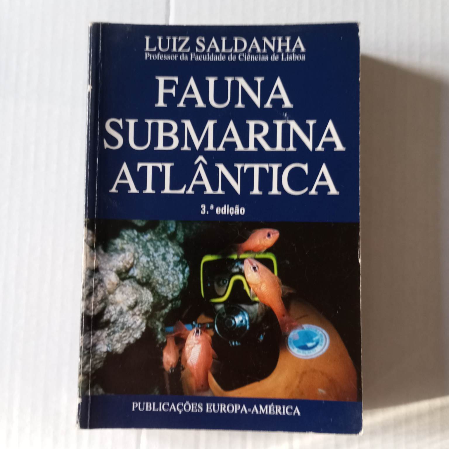 Fauna Submarina Atlântica
