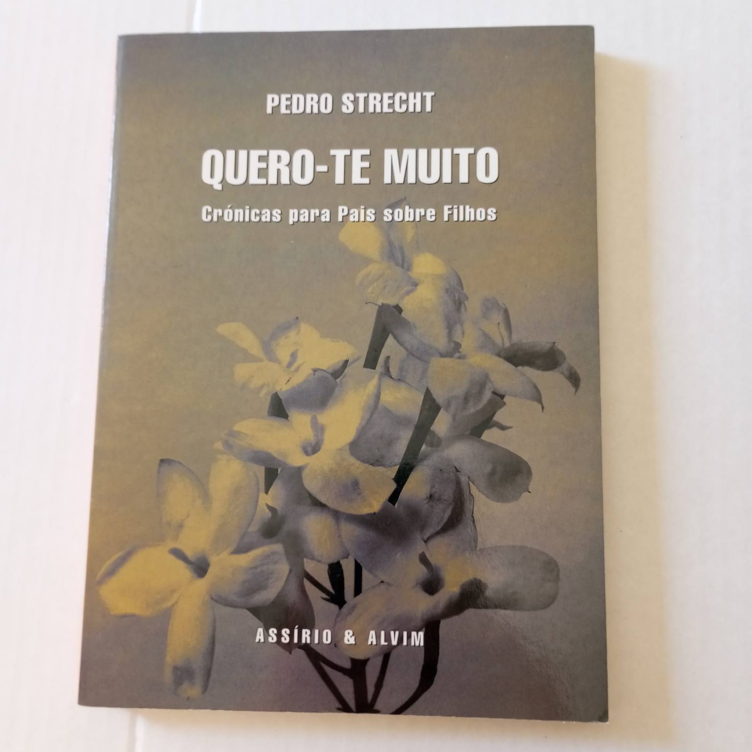 Quero-te muito- Crónicas para pais sobre filhos