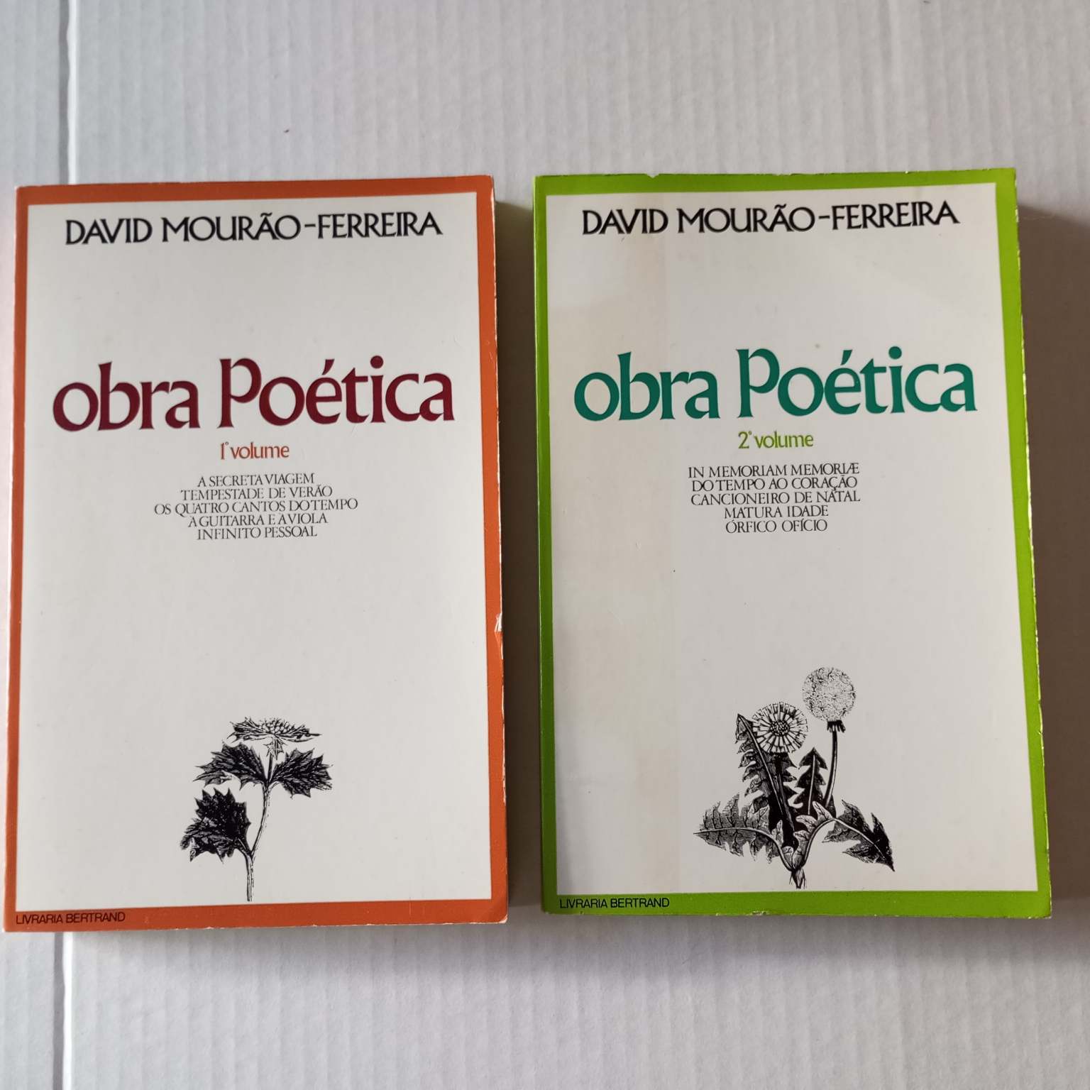 Obra poética - David Mourão-Ferreira