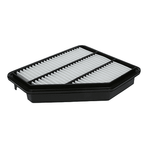 Filtro de aire c29054