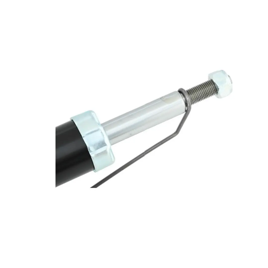Amortiguador delantero LH 09074248 4