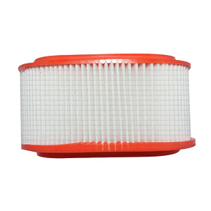 FILTRO DE AIRE STP C25125
