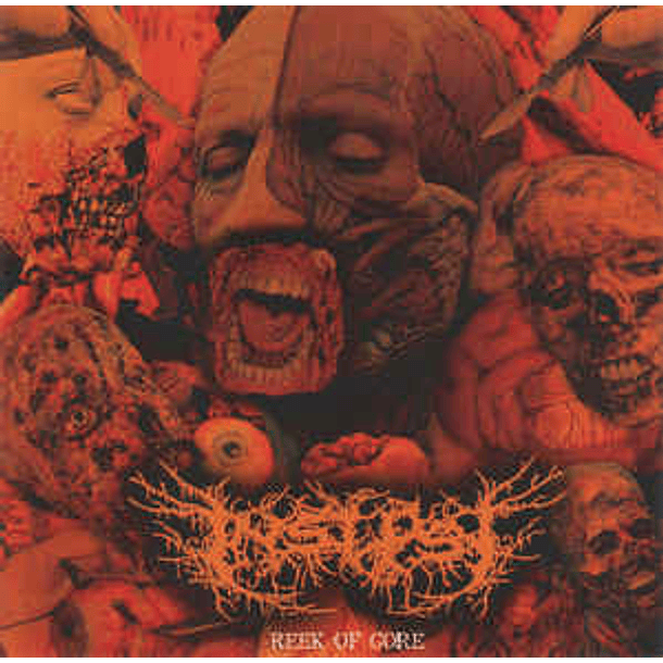 INSEPSY - Reek Of Gore CD