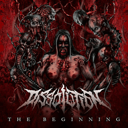 CD - DISSOLUTION - The Beginning 