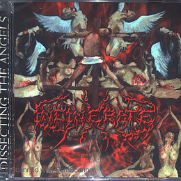 CD - INCINERATE - Dissecting The Angels
