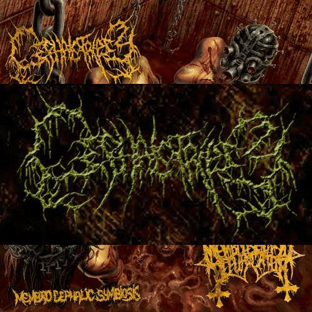 CD - CEPHALOTRIPSY / MEMBRO GENITALI BEFURCATOR - Membro Cephalic Symbiosis Split 