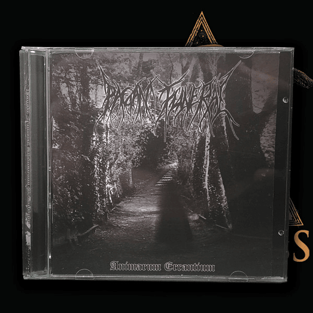 CD - PAGAN FUNERAL - Animarum Errantium