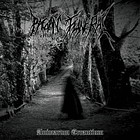 CD - PAGAN FUNERAL - Animarum Errantium 2