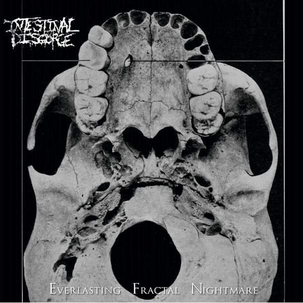 CD - INTESTINAL DISGORGE -  Everlasting Fractal Nightmare