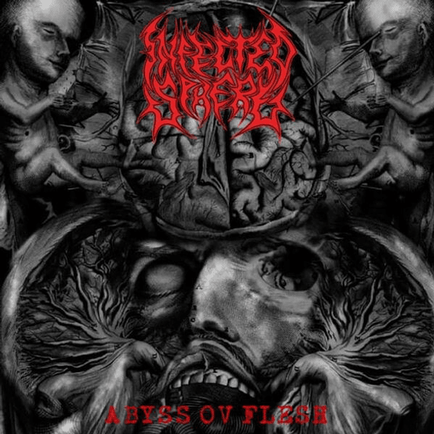 CD - INFECTED SPHERE - Abyss Ov Flesh