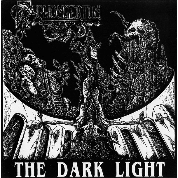 CD PYPHOMGERTUM / DAWN The Dark Light..