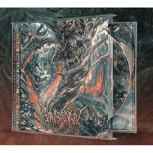 CD VEIYADRA Amalgam In Chaos 