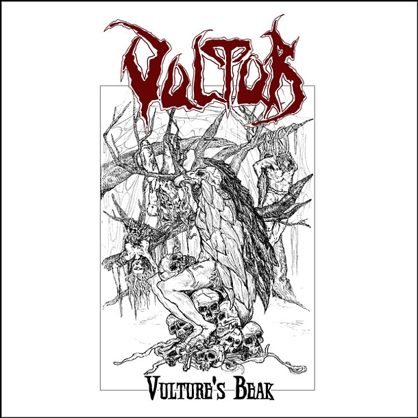 CD VULTUR Vulture's Beak