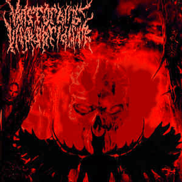 CD VANSTORBING INSOLOBRIDISHN S/t