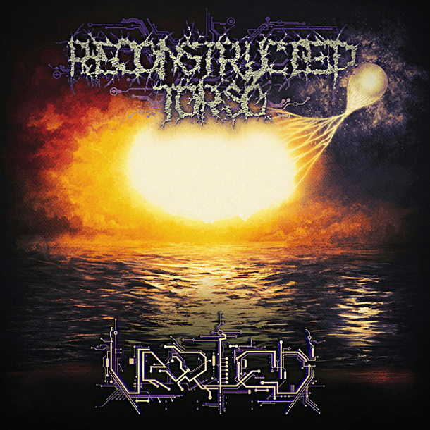 CD RECONSTRUCTED TORSO Varied - COPIAR