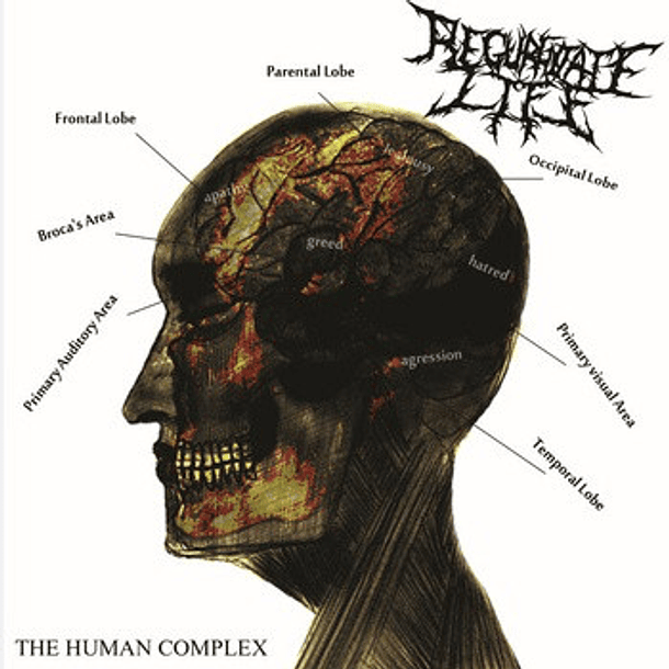 CD REGURGITATE LIFE The Human Complex 