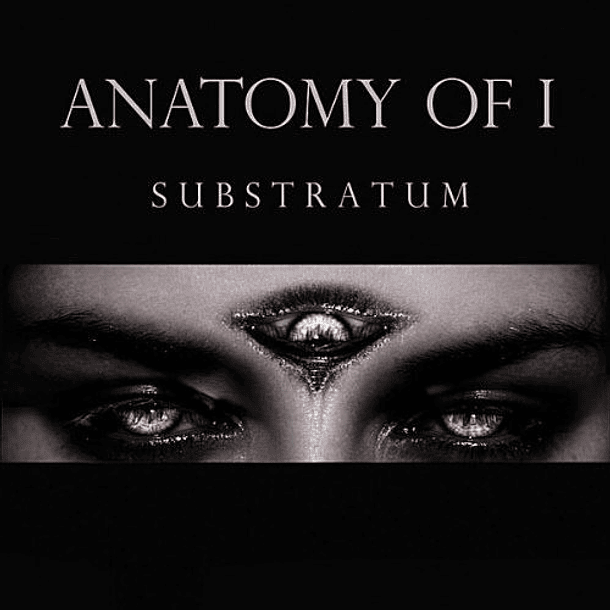 ANATOMY OF I -  Substratum CD