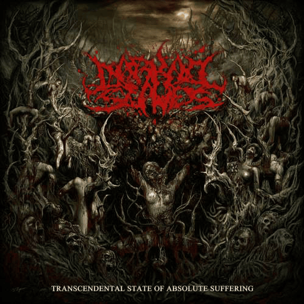 DARKALL SLAVES - Transcendental State Of Absolute Suffering CD