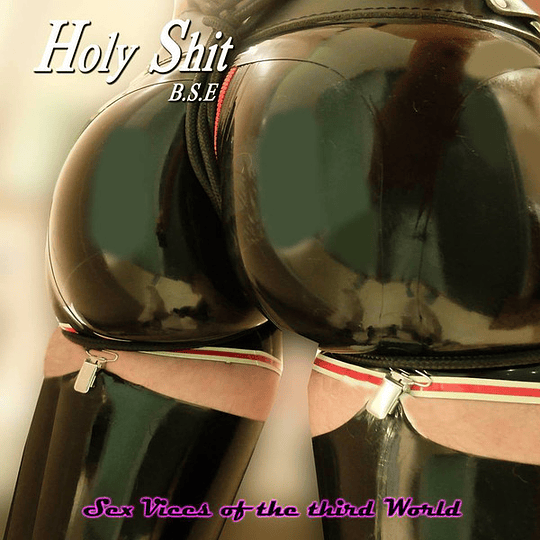 HOLY SHIT B.S.E. - Sex Vices of the Third World CD