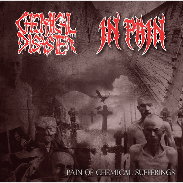 CHEMICAL DISASTER / IN PAIN  - Pain Of Chemical Sufferings SPLIT CD