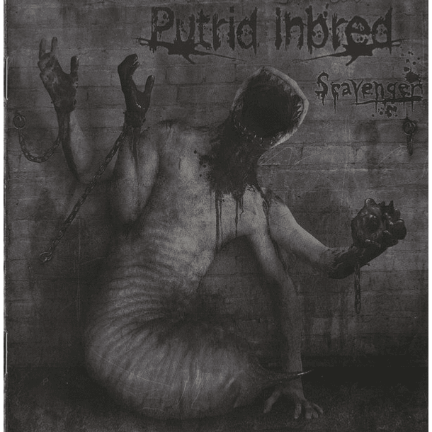 PUTRID INBRED - Scavenger CD