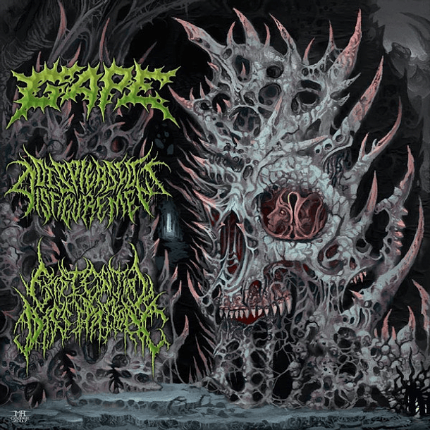 GAPE / DISPLEASED DISFIGUREMENT / EXISTENCIAL DISSIPATION - International Solidification 3 WAY SPLIT CD