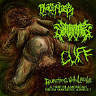 PHALLOPLASTY / SERAPHIM DEFLORATION / CUFF - Bursting With Larvae: A North American Drum Machine Assault  3 WAY SPLIT CD 2