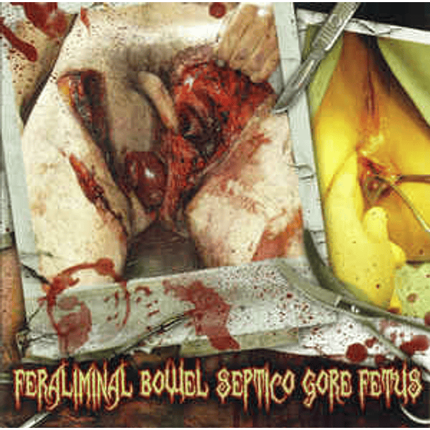 DEAD FETUS COLLECTION / GORE / SEPTICOPYEMIA / FERALIMINAL LYNCANTHROPIZER / BOWEL STEW - Feraliminal Bowel Septico Gore Fetus 5 WAY SP'LIT SLIPCASE CD