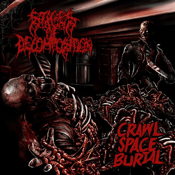 STAGES OF DECOMPOSITION - Crawl Space Burial DIGIPACK CD