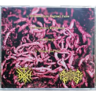 SPLIT CD WORMROT / DRAIN OF IMPURITY  2