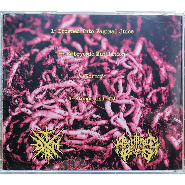 SPLIT CD WORMROT / DRAIN OF IMPURITY 