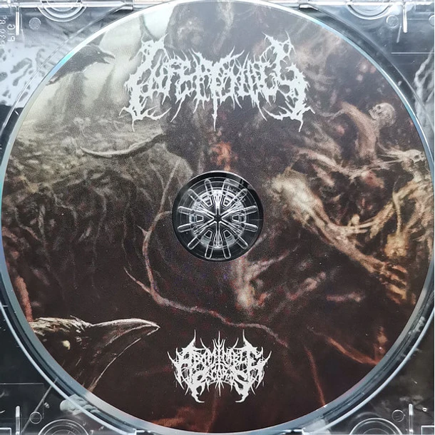 CD INFECTOLOGY Origin Of Pathological Extermination SLIPCASE 3