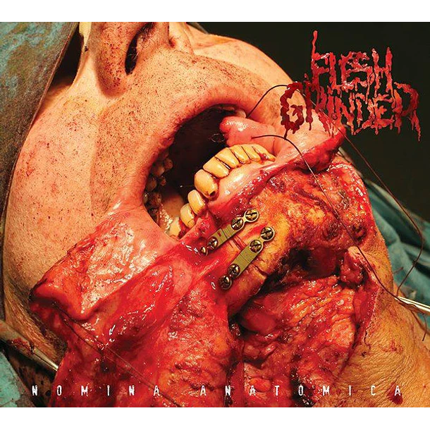 FLESH GRINDER Nómina Anatómica