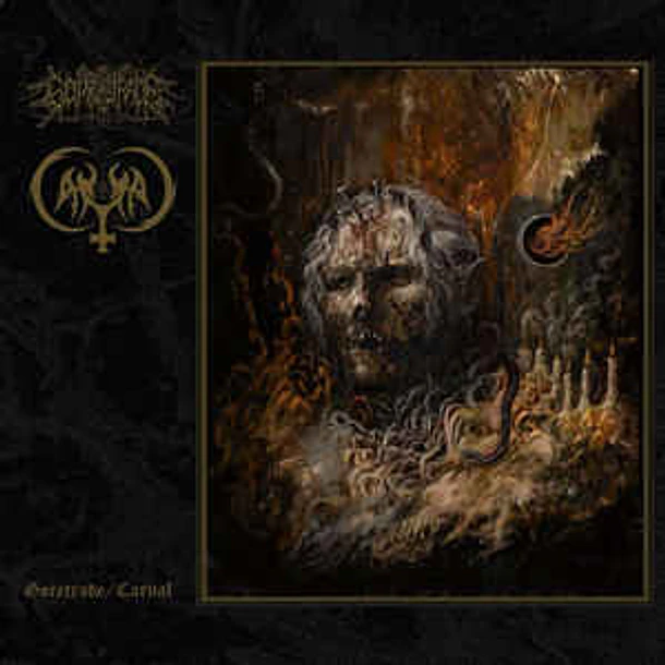 GORETRADE / CARNAL Split CD