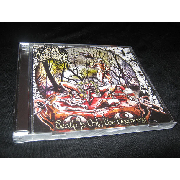 EVIL CONSCIENCE Death is only the beginning CD