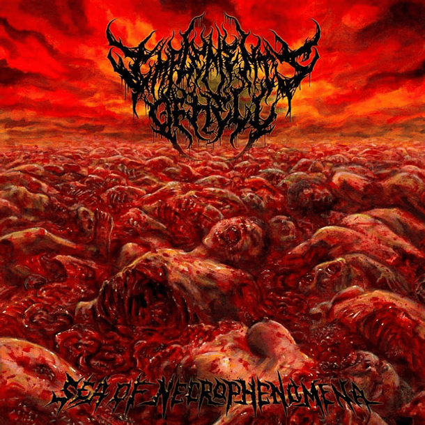 IMPLEMENTS OF HELL - Sea of Necrophenomena SLIPCASE CD