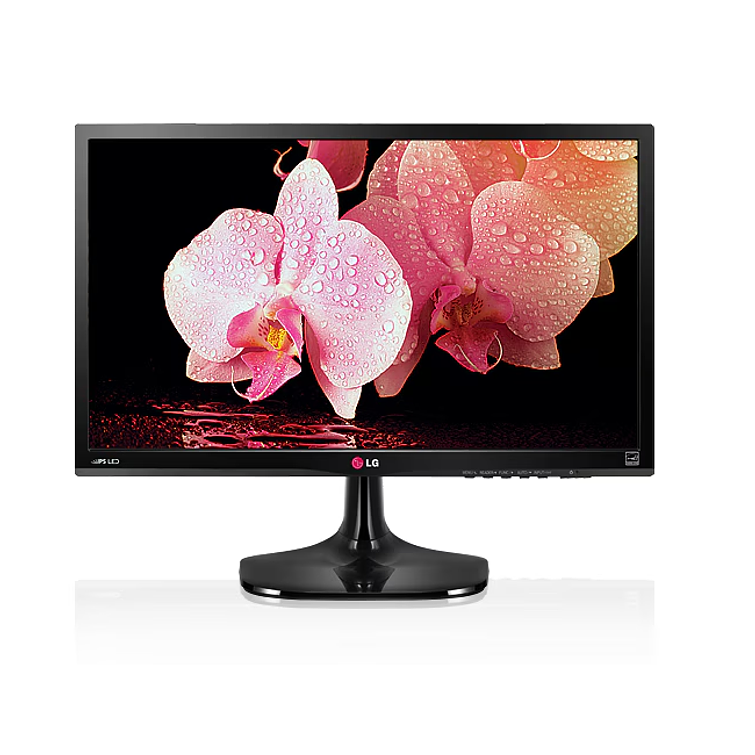 Monitor LG  22