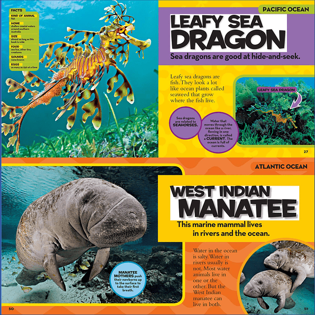 National Geographic Kids First Big Book of Ocean