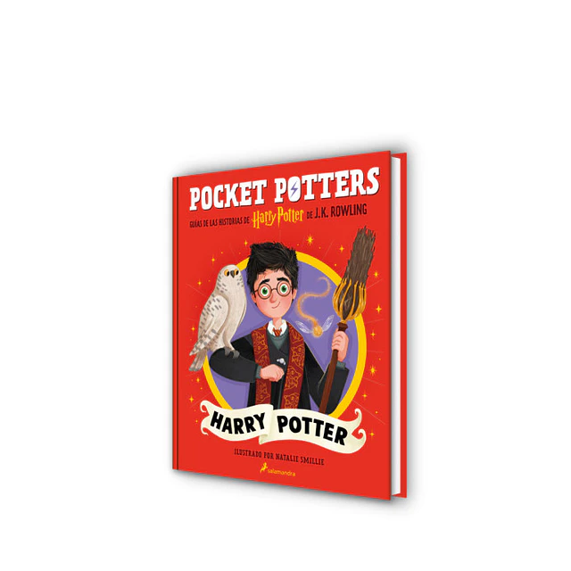 Pocket Potters: Harry Potter