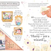 Pocket Potters: Harry Potter