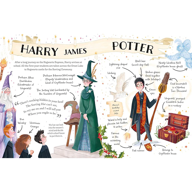 Pocket Potters: Harry Potter