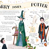 Pocket Potters: Harry Potter