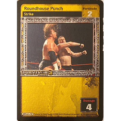 Roundhouse Punch (FOIL)