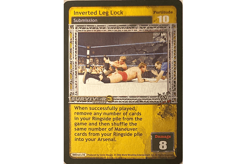 Inverted Leg Lock (FOIL) - SS3