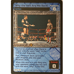 Why the Hell Are We Here? (FOIL) - SS3